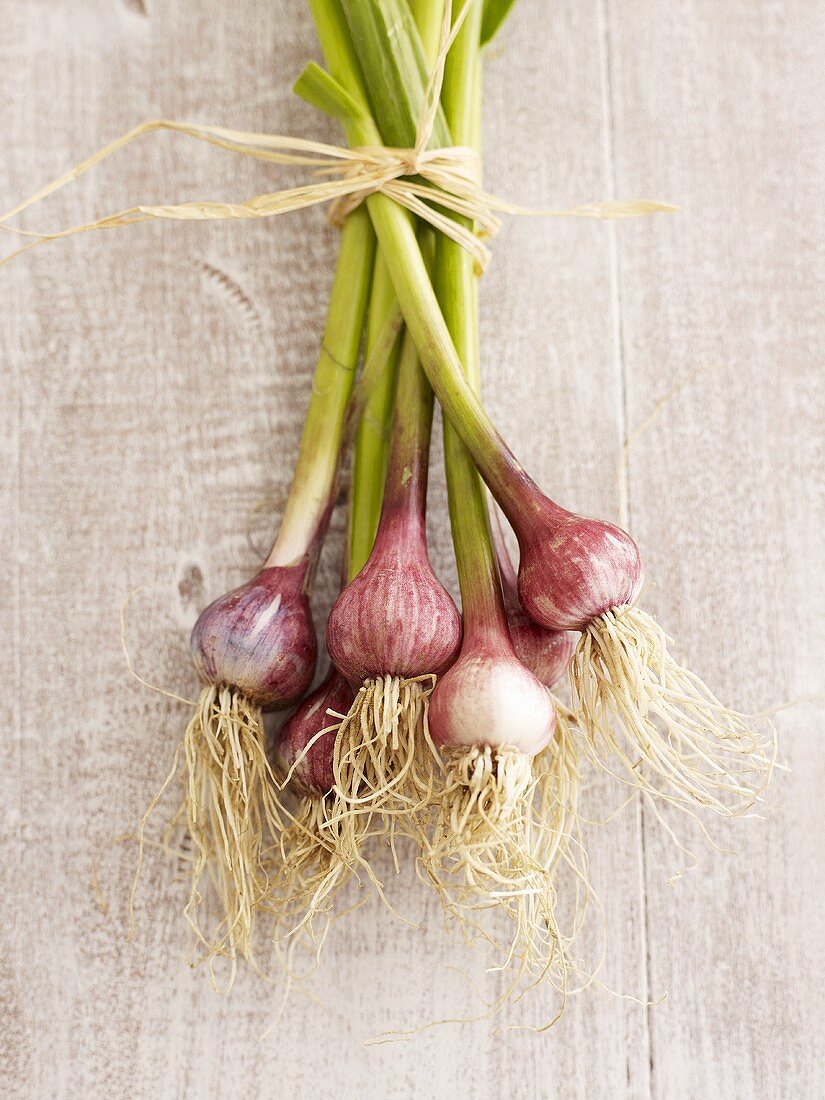 A bundle of fresh garlic