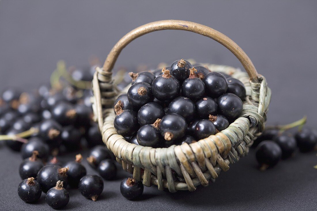 Schwarze Johannisbeeren in und neben einem kleinen Weidenkörbchen