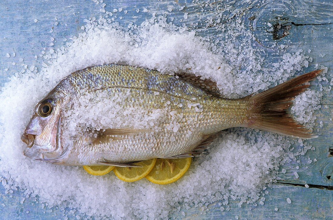 Bream on sea salt with lemon