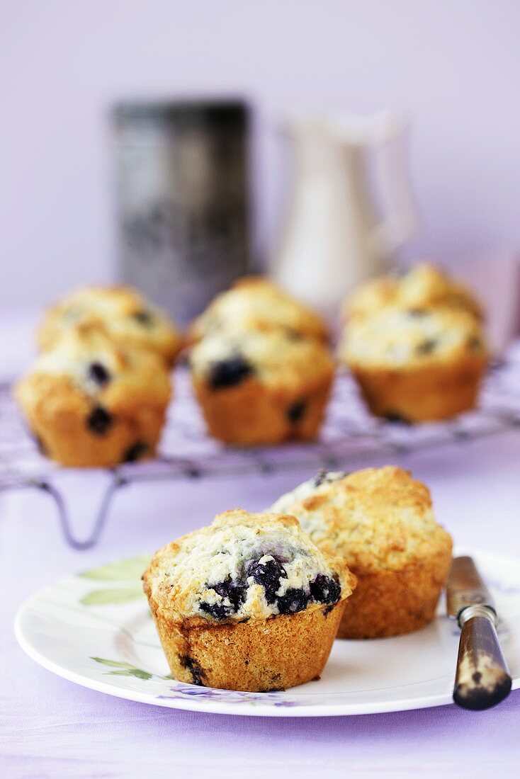 Blueberry muffins on plate and cake rack