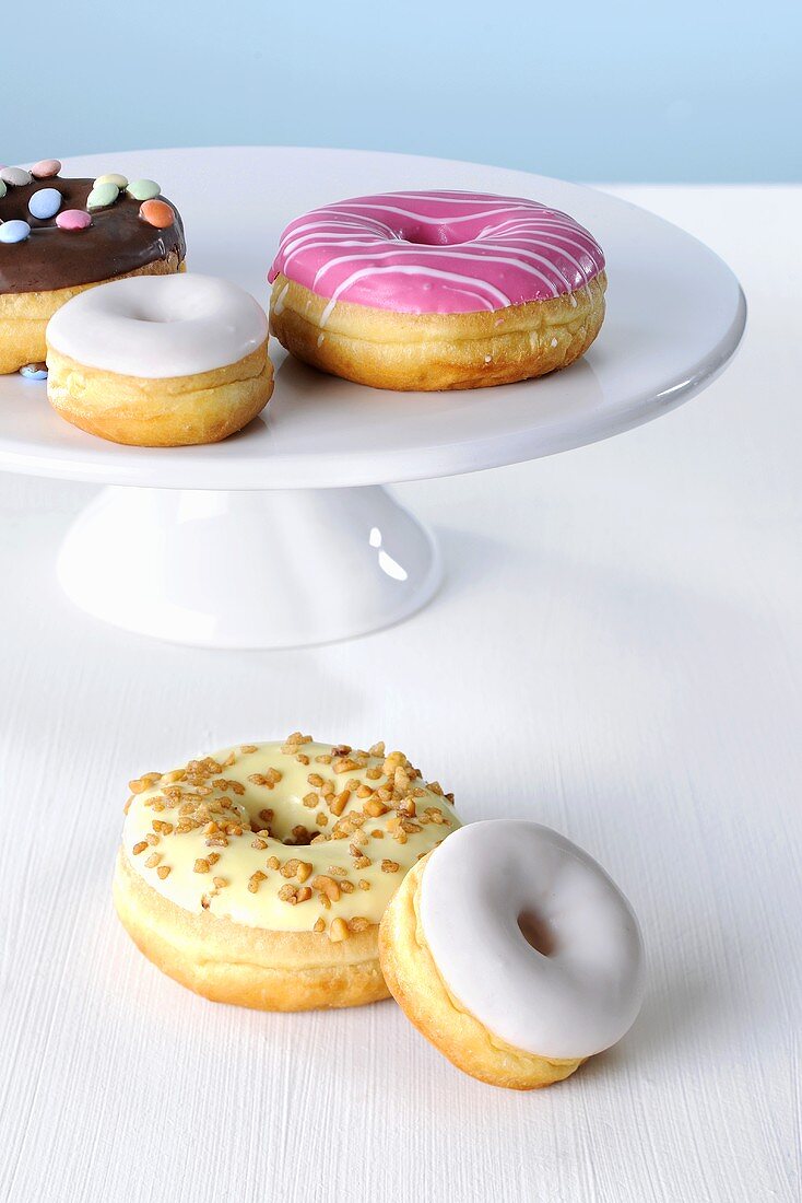 Doughnuts with different icing