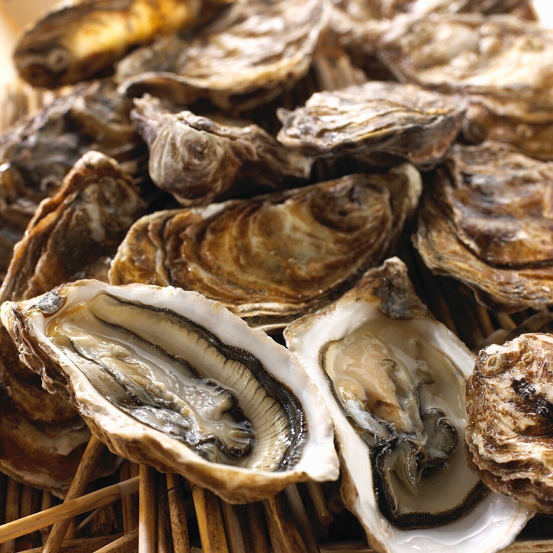 Fresh oysters (close-up)