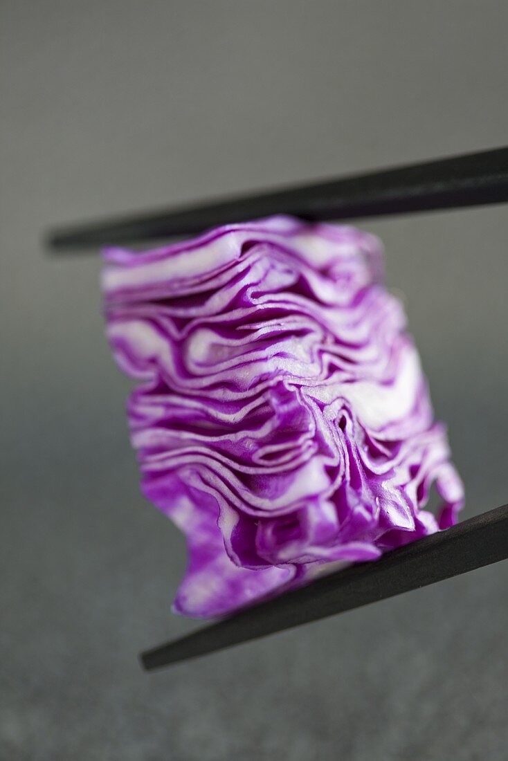 Red cabbage between chopsticks