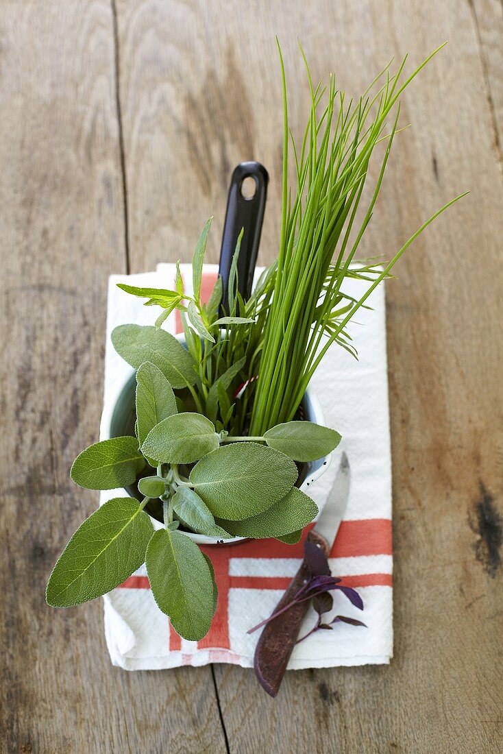 Sage, chives and tarragon