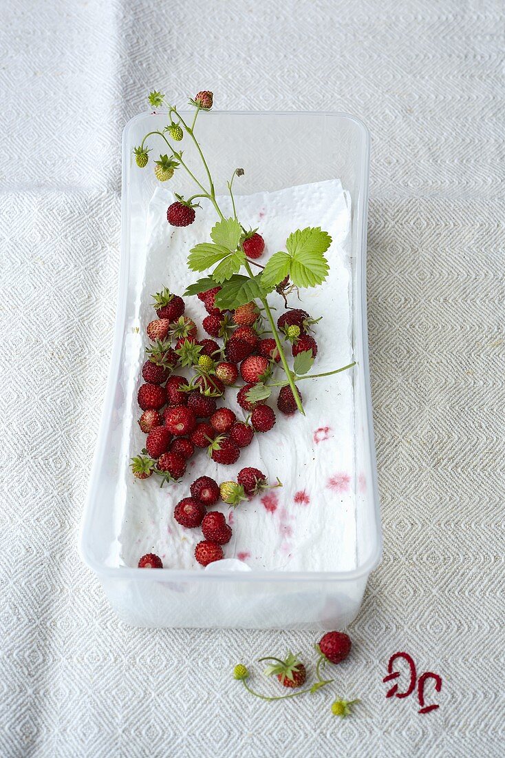 Woodland strawberries in a plastic box