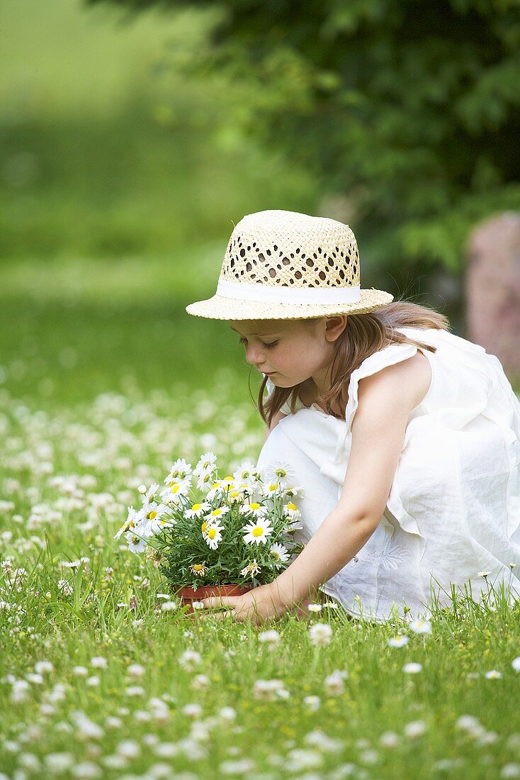 A little girl with daisies in a flowering medow