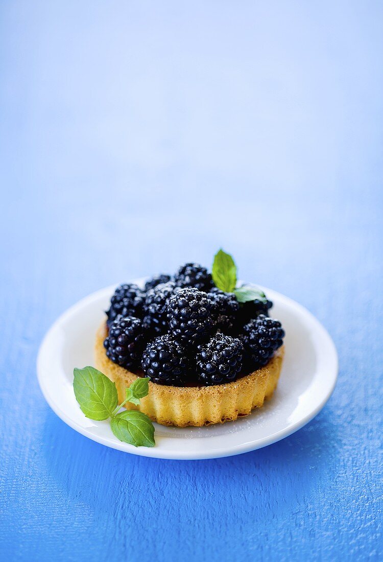 A blackberry tartlet