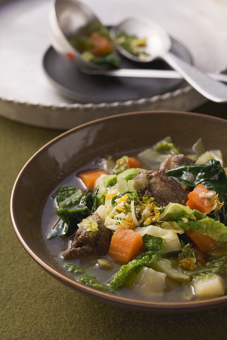 Winter vegetable and beef stew