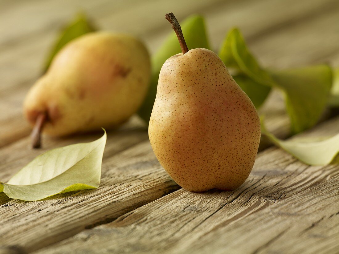 Fresh pears with leaves