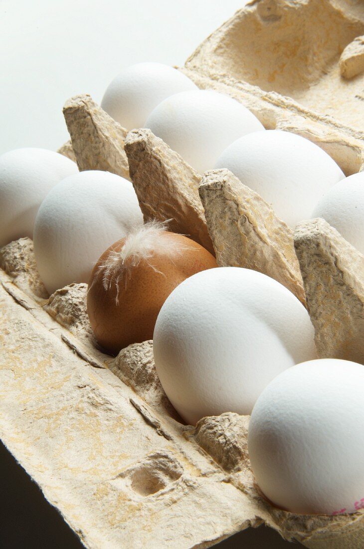 Brown and White Eggs in a Cardboard Egg Carton