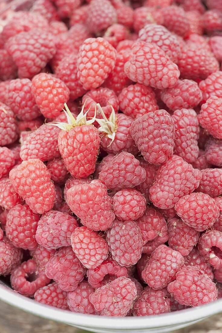A bucket of raspberries