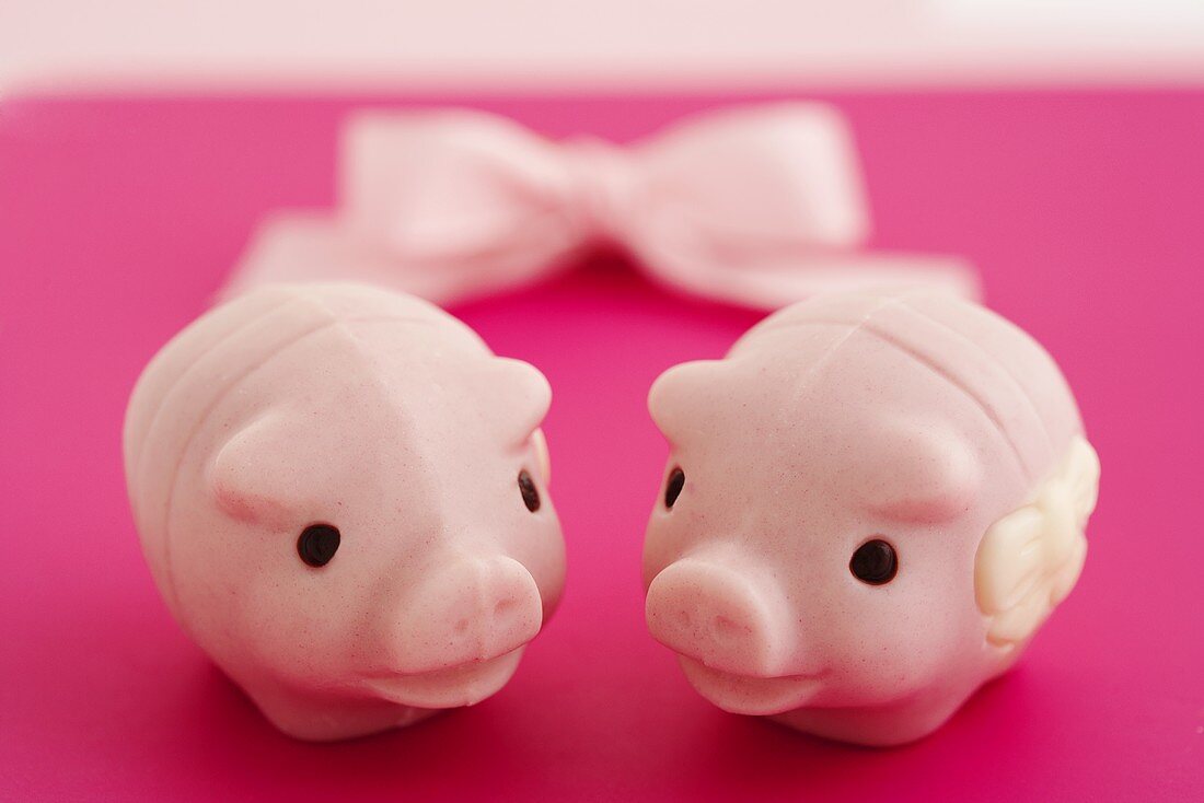 Two lucky pink pigs with a bow in the background