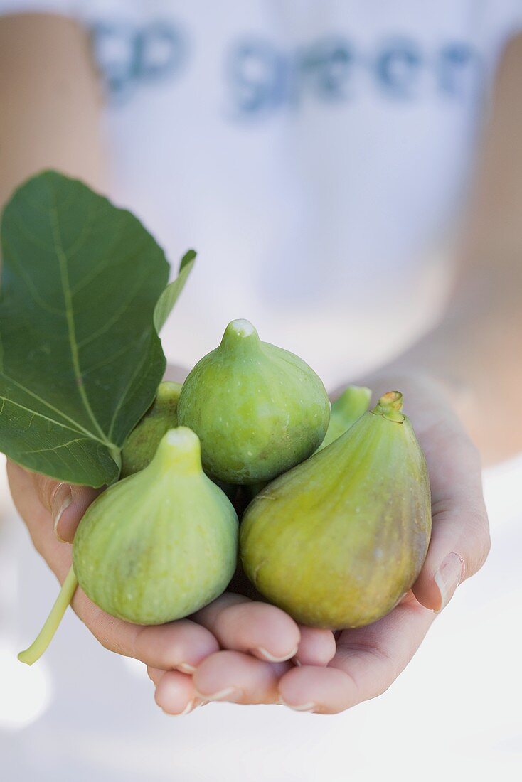 A woman holding fresh green figs