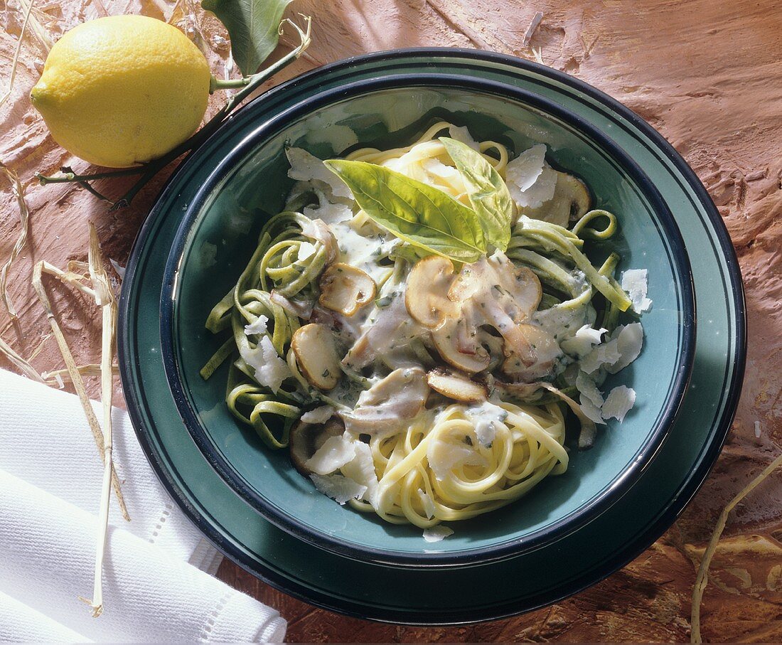 Green and white ribbon pasta with mushrooms (Italy)