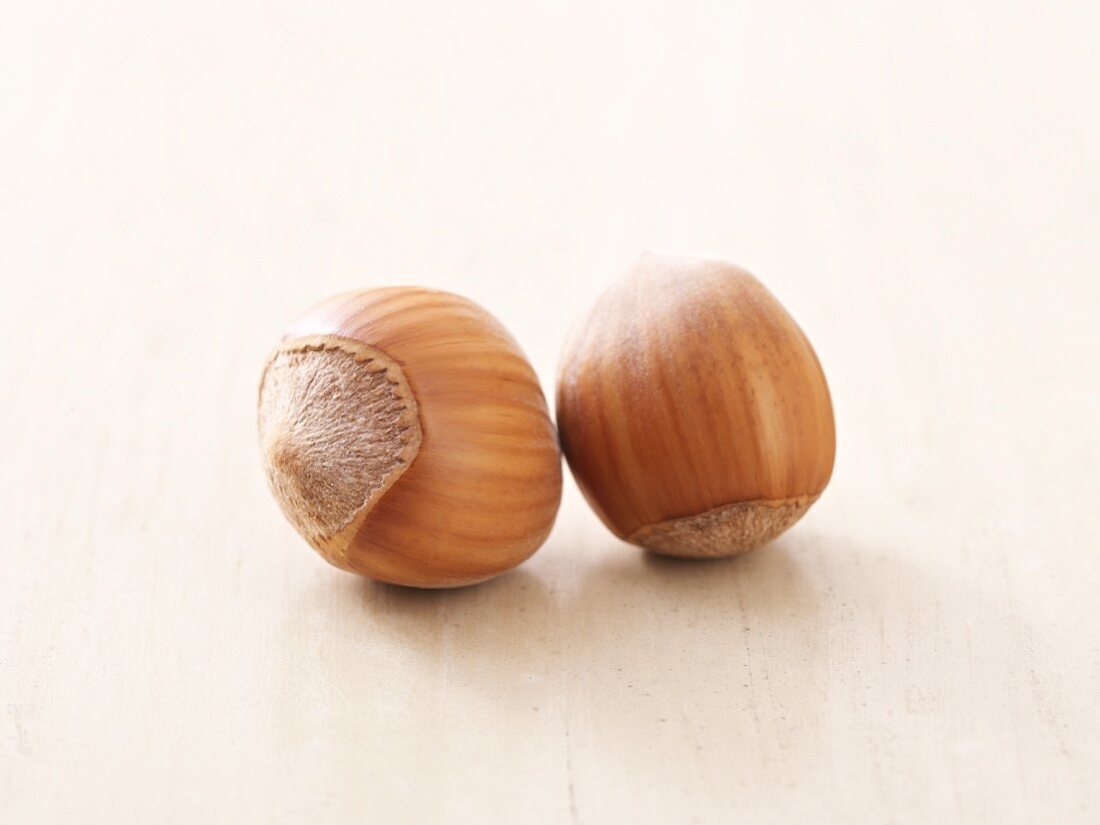 Two hazelnuts