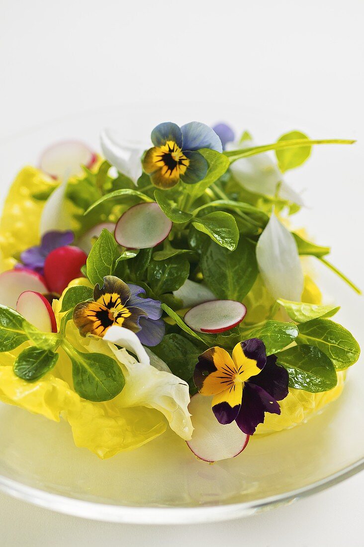 Blattsalat mit Frühlingsblüten und Radieschen