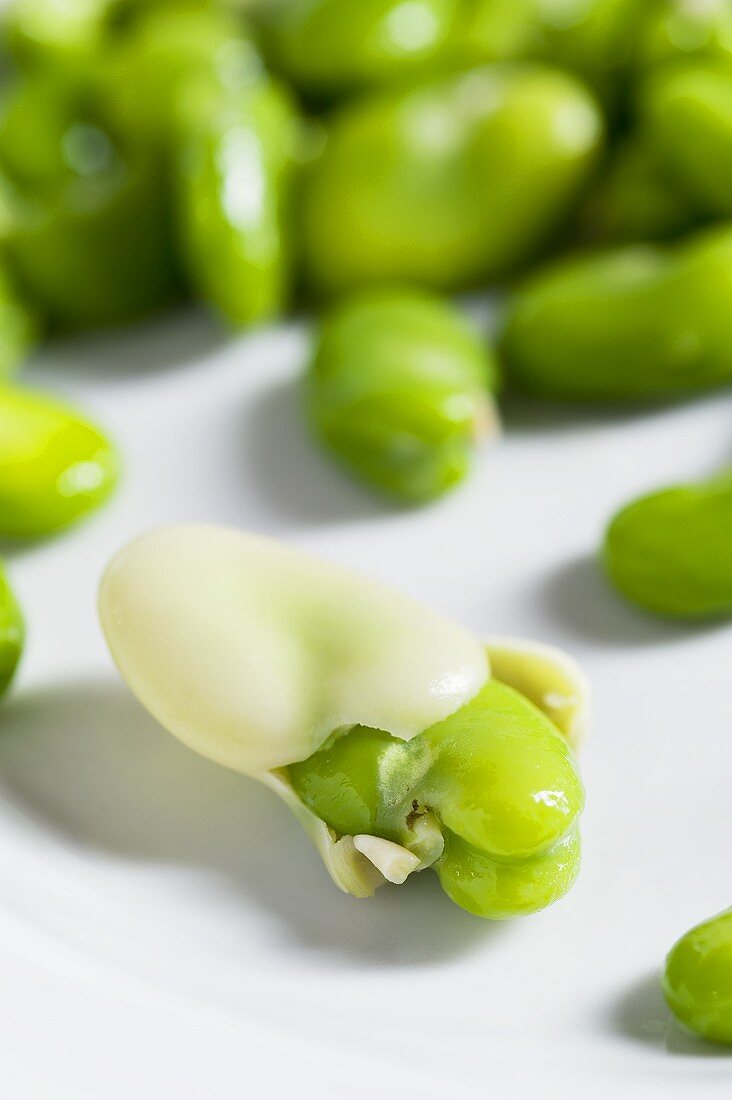 Shelled broad beans