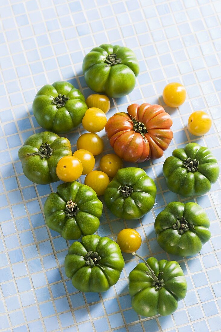 Tomaten in verschiedenen Farben
