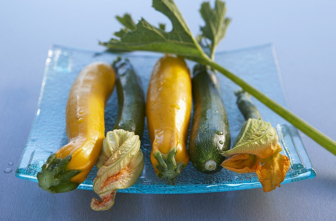 Gelbe und grüne Zucchini mit Blüten