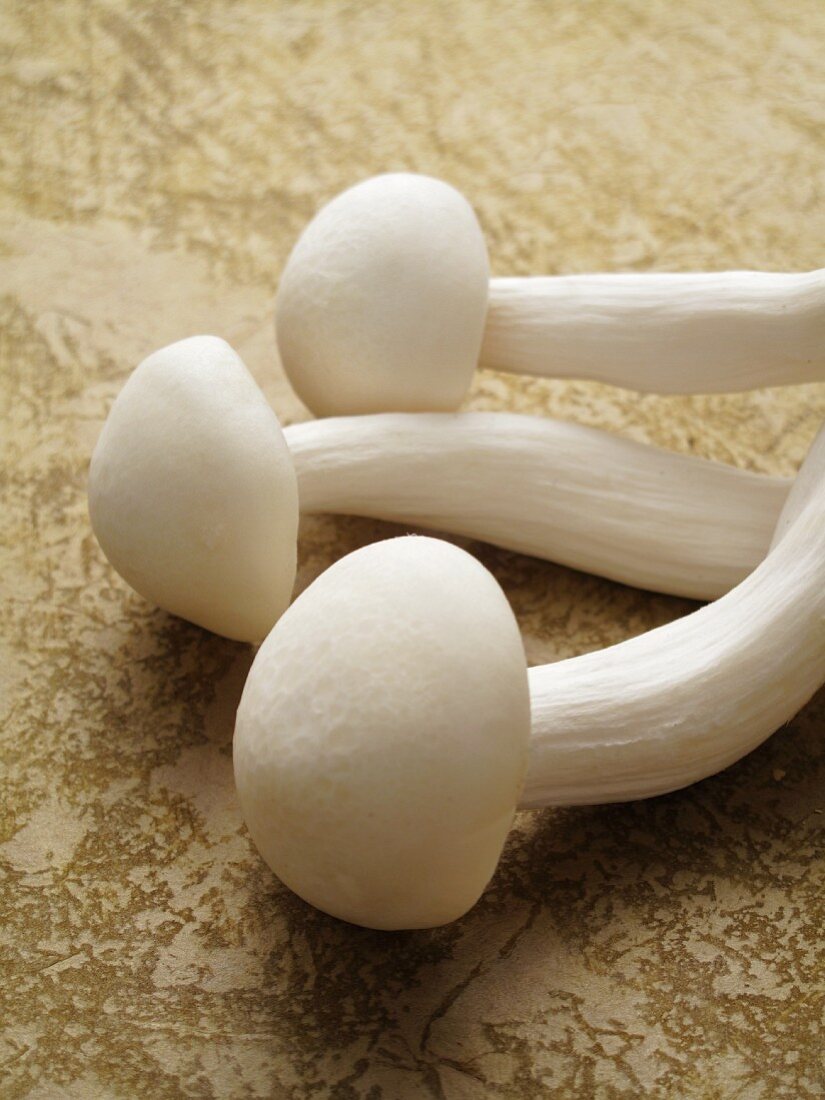 White shimeji mushrooms