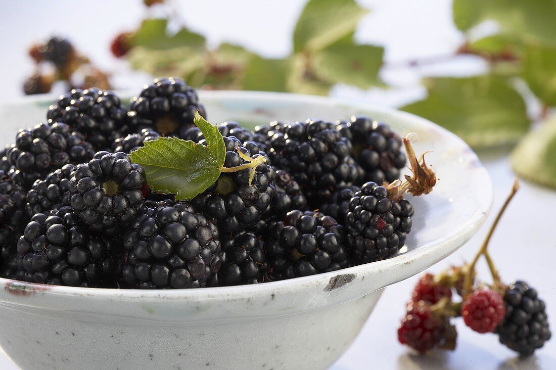 Blackberries in a dish