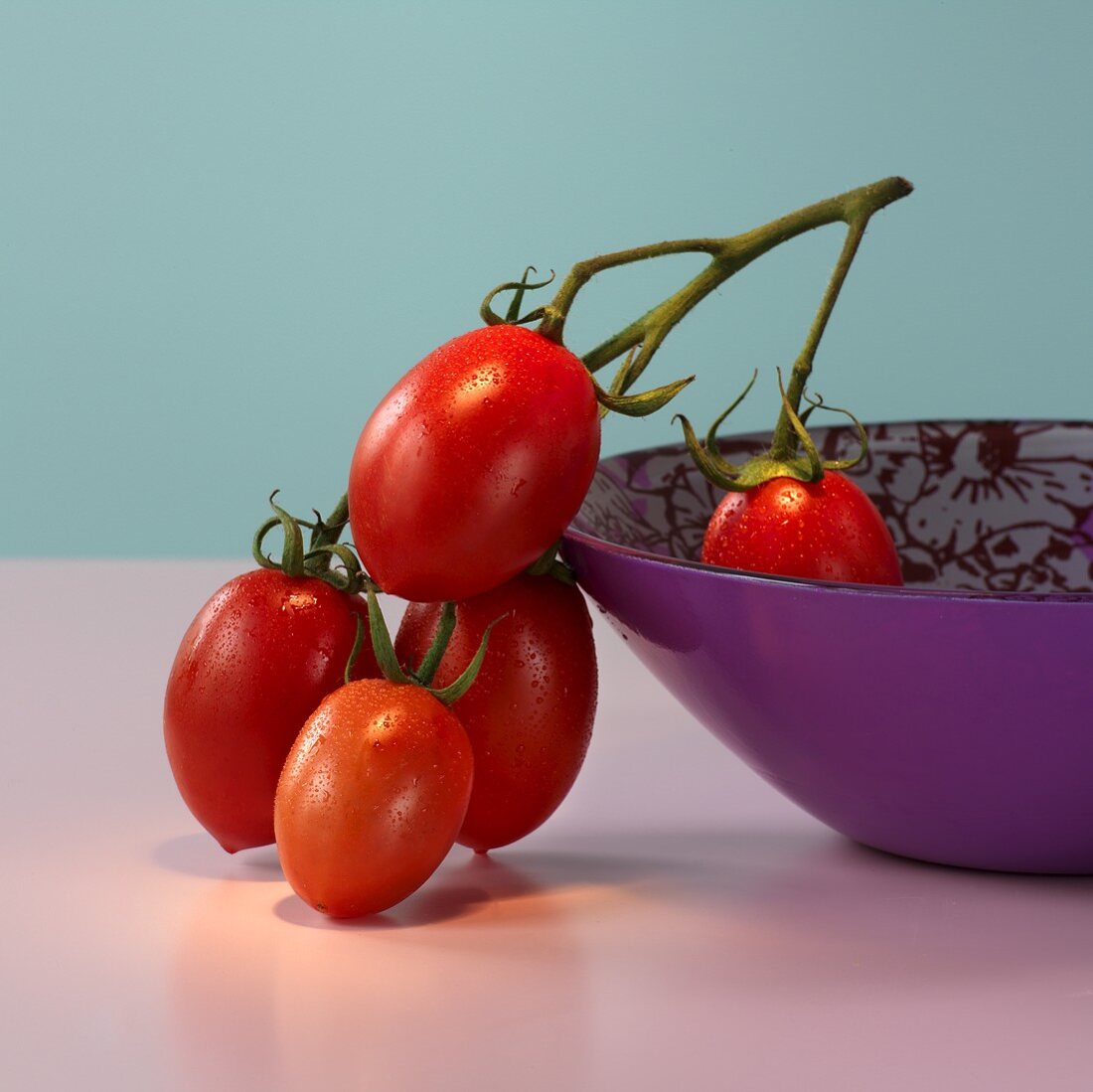 Plum tomatoes on the stem