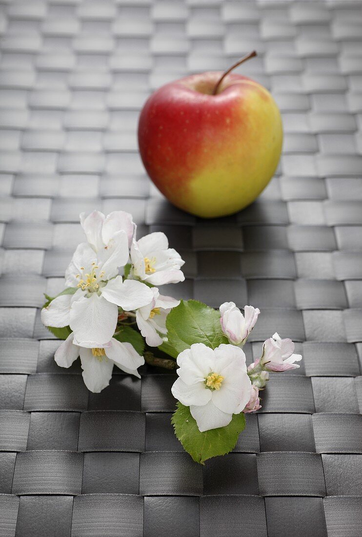 Apfel mit Apfelblüten
