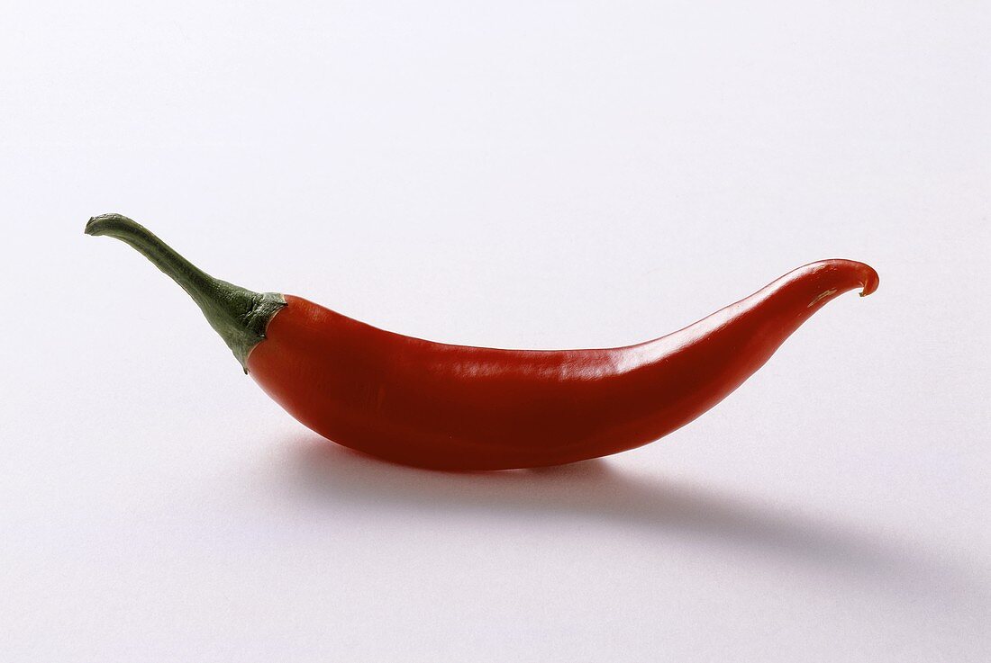 A Single Red Chili Pepper