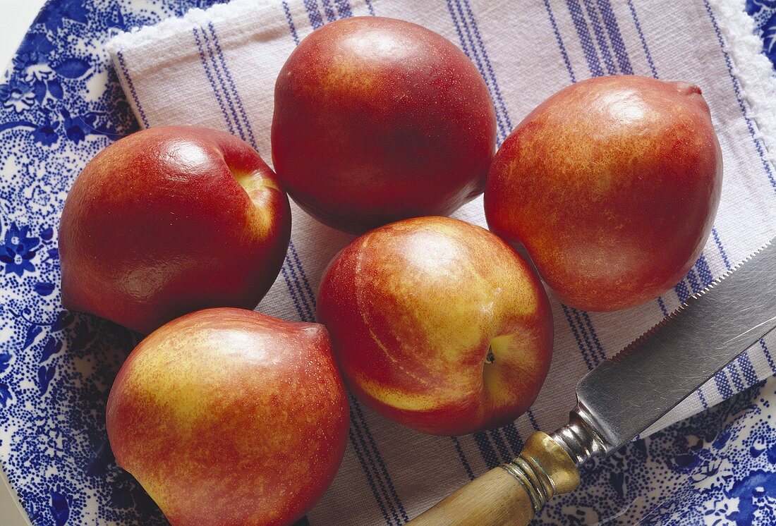 Nectarines; Blossom; Blue Plate