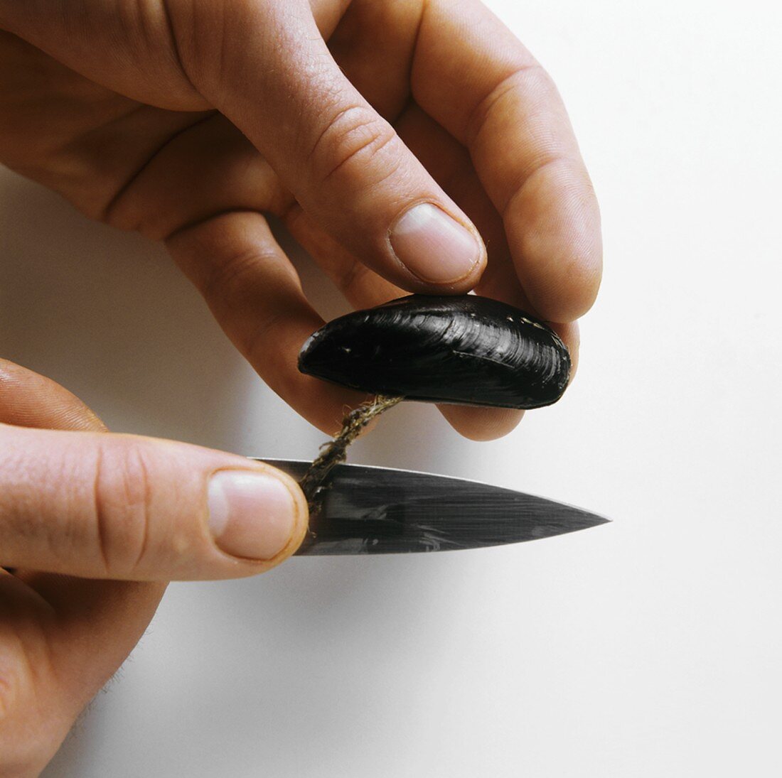 Removing the beard from a mussel