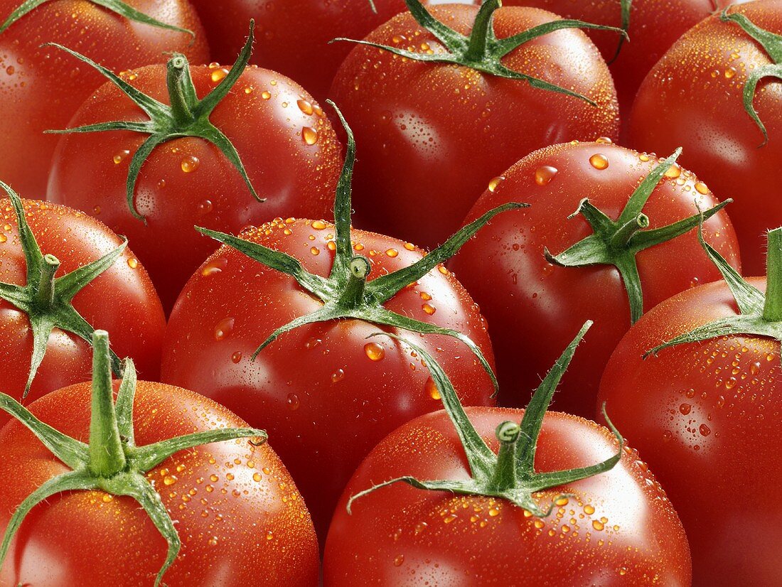 Mehrere Tomaten (bildfüllend)
