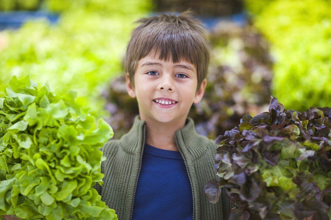 Boy between two lettuces in a supermarket