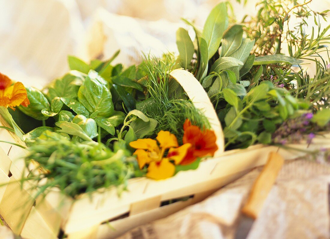 Various fresh herbs in chip basket
