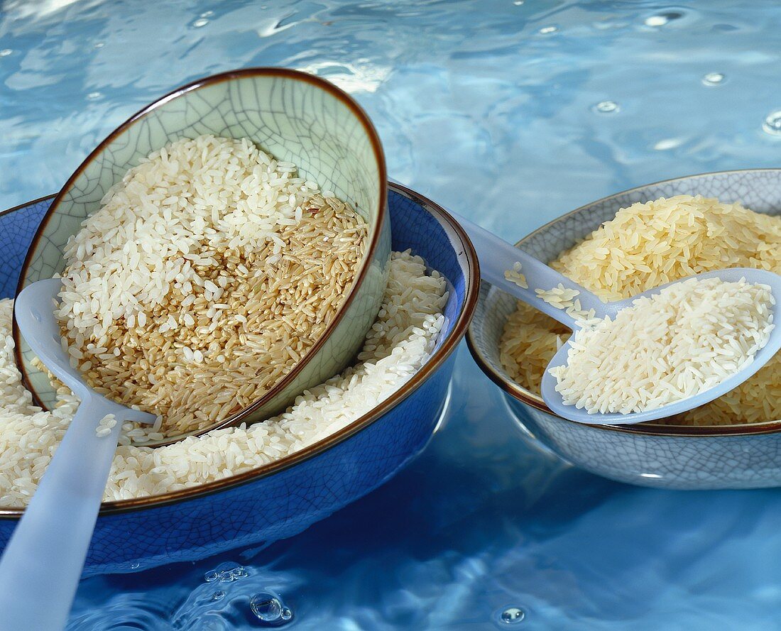 Verschiedene Reissorten in Schalen, im Wasser schwimmend