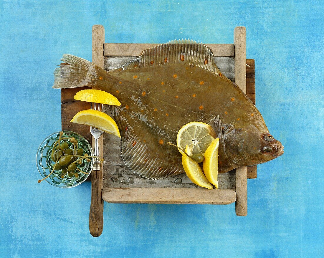 Fresh plaice with lemons and capers