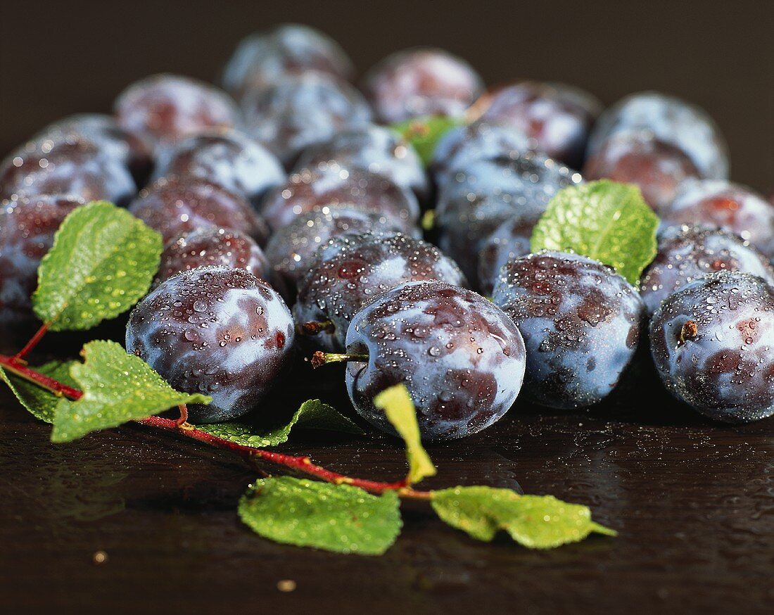 Fresh plums with drops of water and leaves