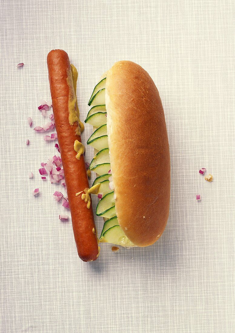 Hot dog with cucumber slices, mustard and onions