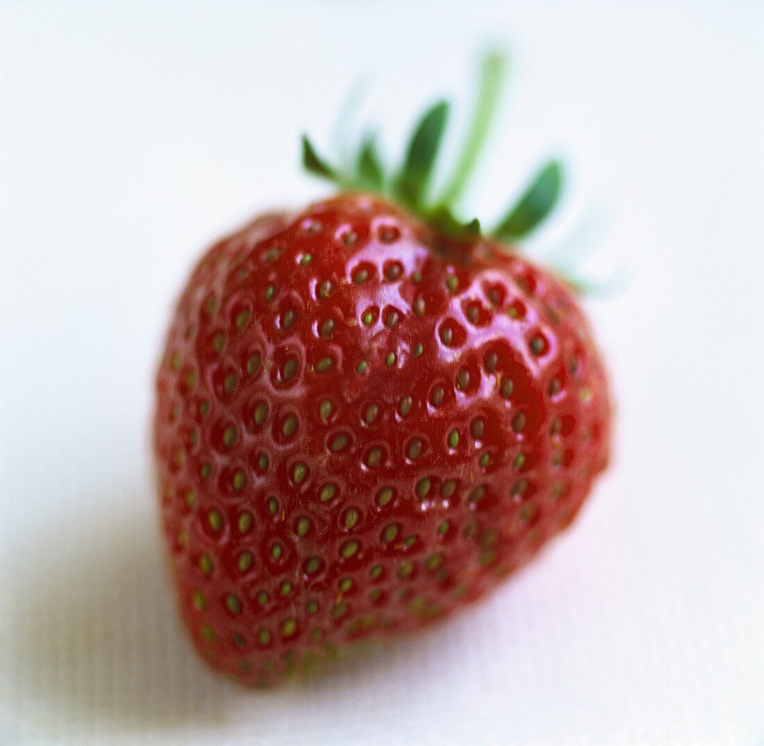 Eine frische Erdbeere