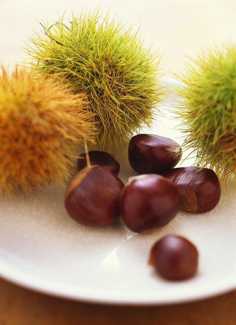 Sweet chestnuts, some with shells