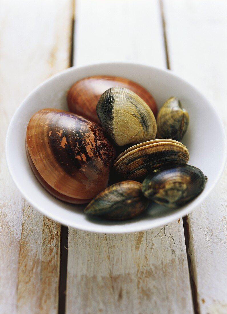 Fresh mussels in white bowl