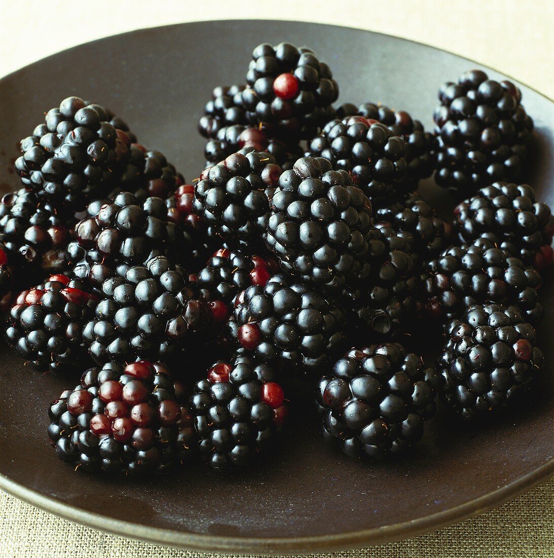 Fresh blackberries on plate