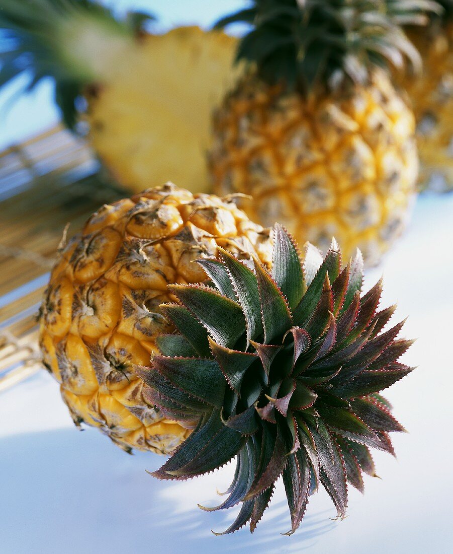 Baby pineapple (Ananas comosus)