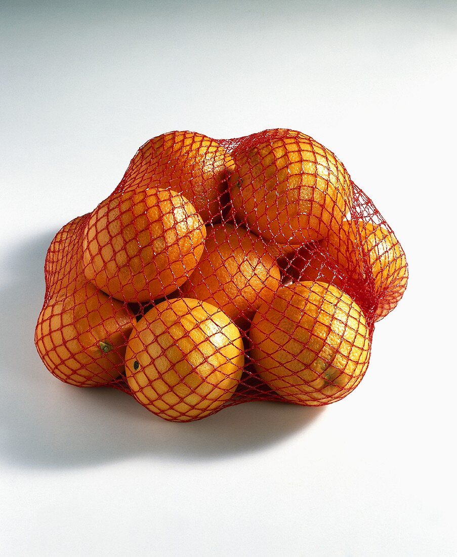 Orangen (Citrus sinensis) im Netz