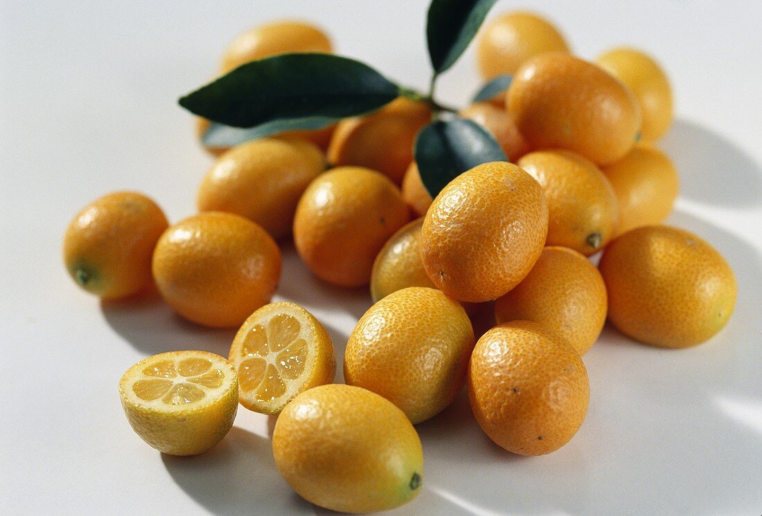 Kumquats, variety: Moyen (Fortunella margarita) from Morocco