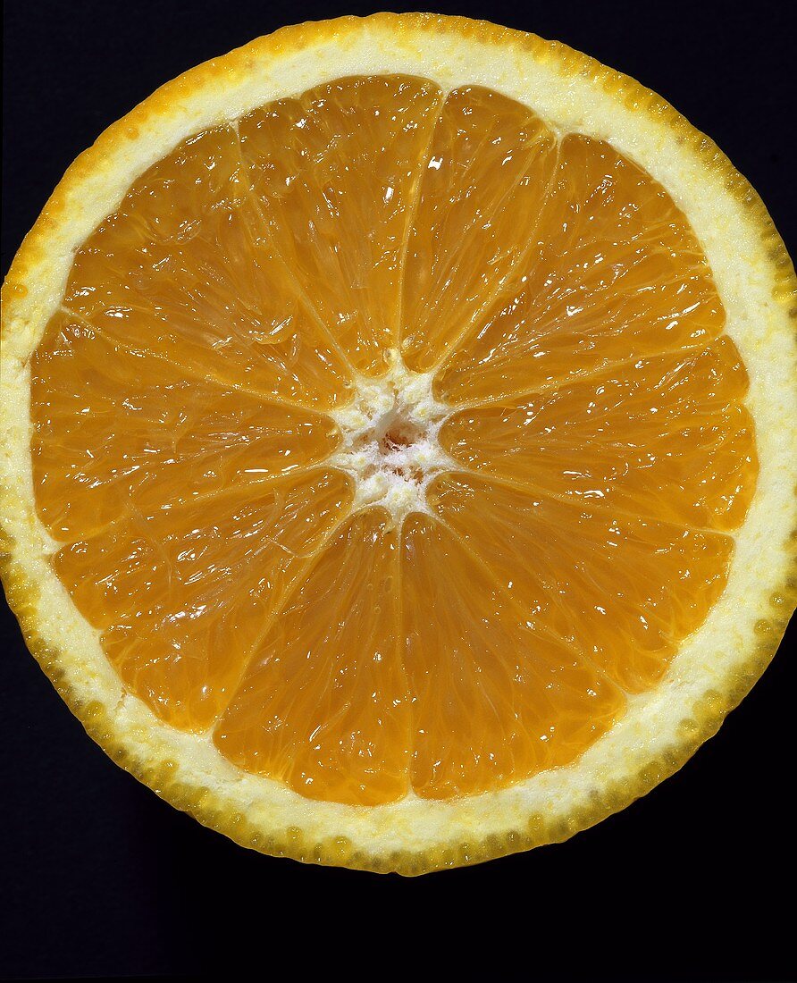 Orangenscheibe (Citrus sinensis)