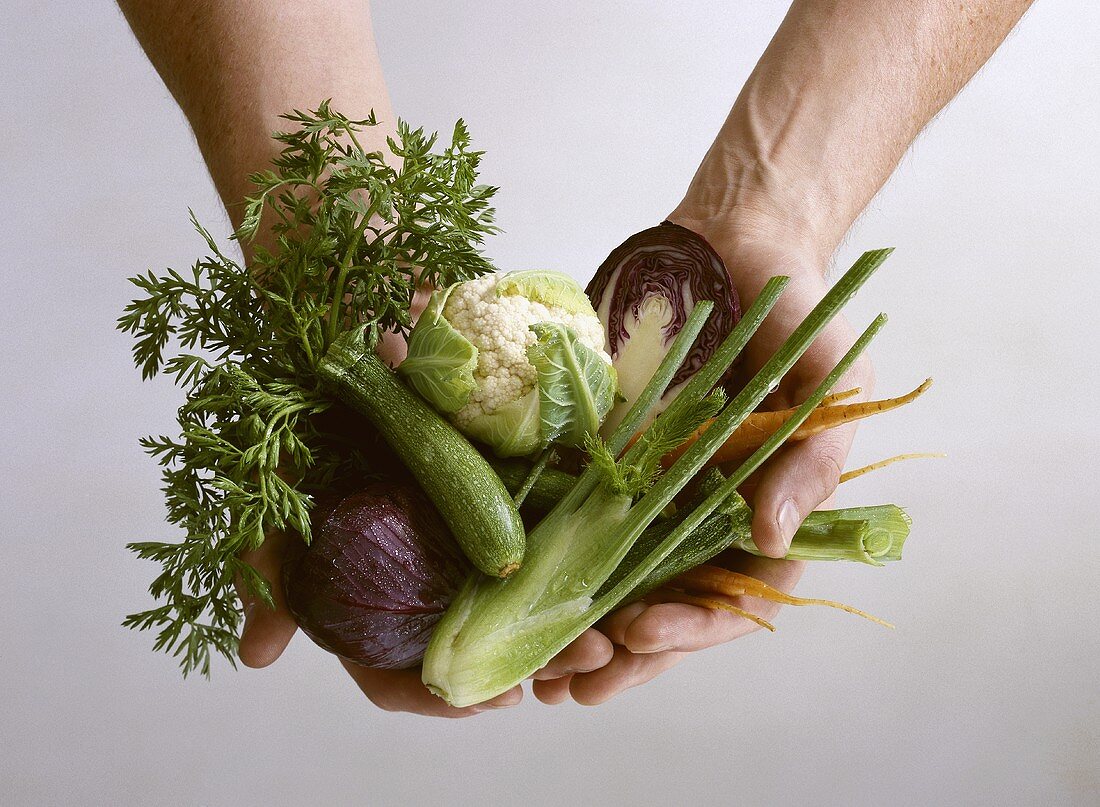 Hands holding fresh mini-vegetables
