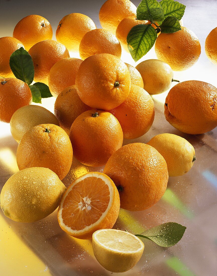 Orangen und Zitronen (Citrus sinensis, Citrus limon)
