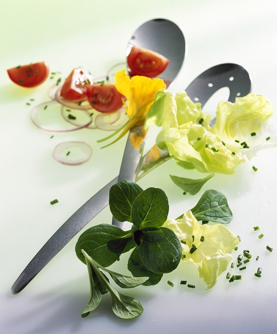 Salatzutaten mit Salatbesteck