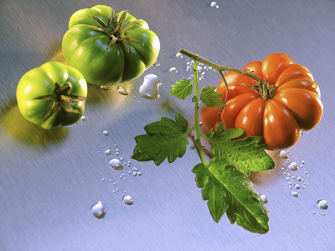 Green tomatoes and red tomato with leaf