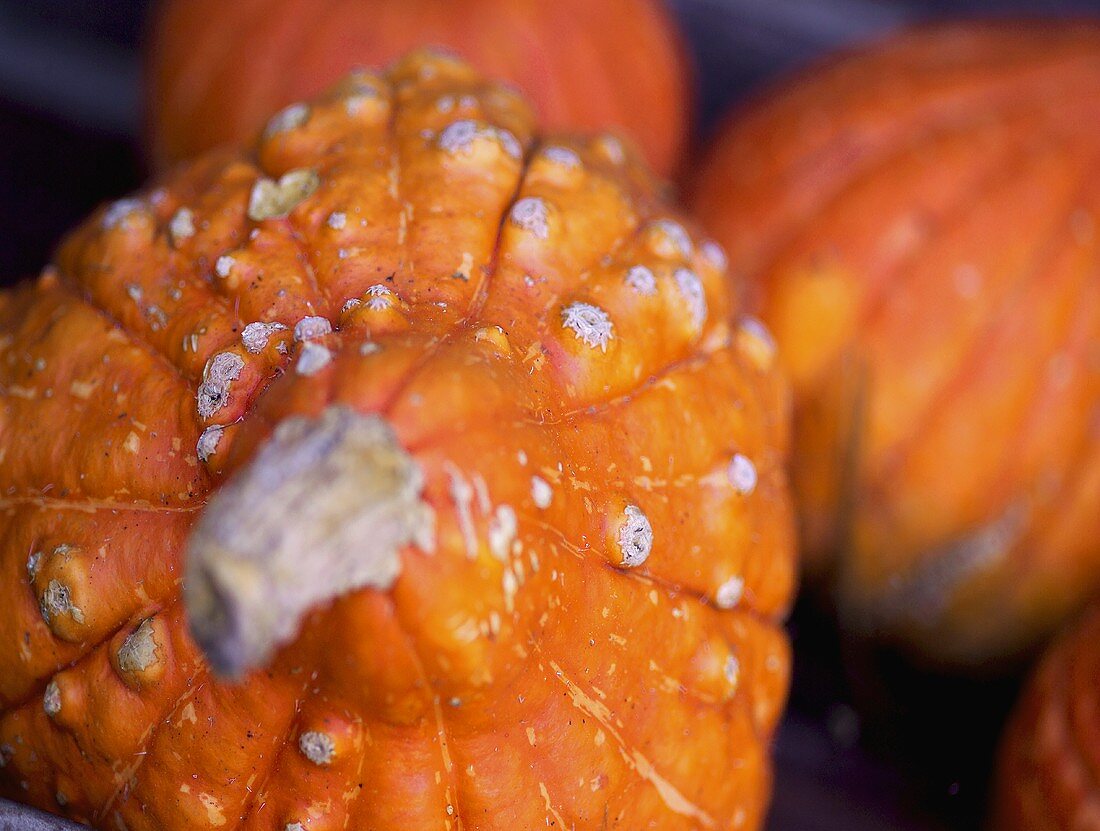 Orangefarbene Kürbisse (Pumpkins)